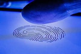 TikTok风控算法详解：规避技巧全指南