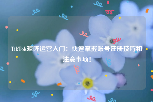 TikTok矩阵运营入门：快速掌握账号注册技巧和注意事项！