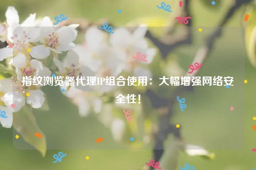 指纹浏览器代理IP组合使用：大幅增强网络安全性！