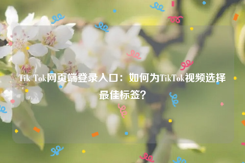 Tik Tok网页端登录入口：如何为TikTok视频选择最佳标签？