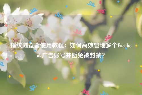 指纹浏览器使用教程：如何高效管理多个Facebook广告账号并避免被封禁？