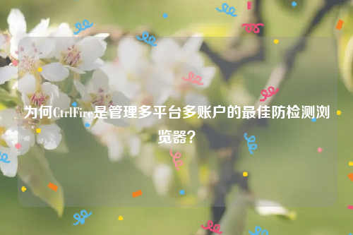 为何CtrlFire是管理多平台多账户的最佳防检测浏览器？