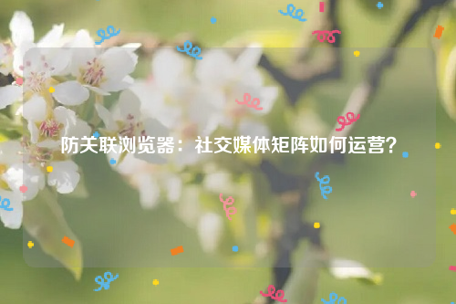 防关联浏览器：社交媒体矩阵如何运营？