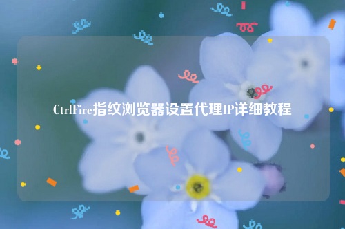 CtrlFire指纹浏览器设置代理IP详细教程