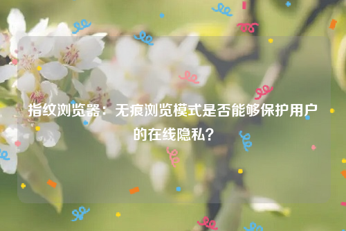 指纹浏览器：无痕浏览模式是否能够保护用户的在线隐私？
