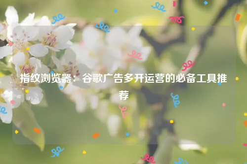 指纹浏览器：谷歌广告多开运营的必备工具推荐