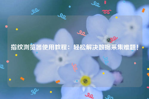 指纹浏览器使用教程：轻松解决数据采集难题！