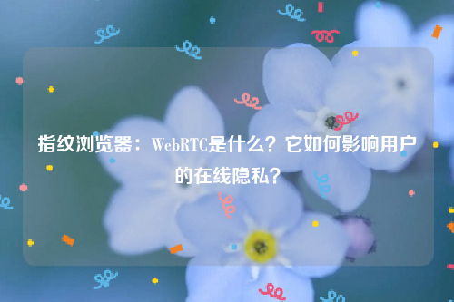 指纹浏览器：WebRTC是什么？它如何影响用户的在线隐私？