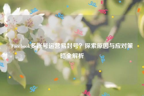 Facebook多账号运营易封号？探索原因与应对策略全解析