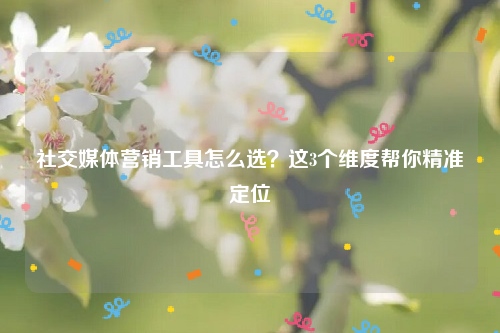 社交媒体营销工具怎么选？这3个维度帮你精准定位
