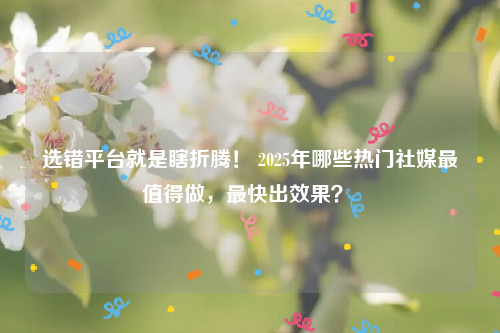 选错平台就是瞎折腾！ 2025年哪些热门社媒最值得做，最快出效果？ 