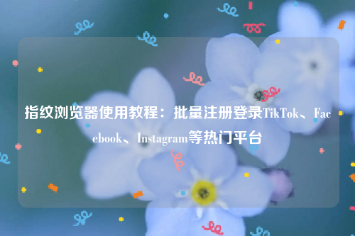 指纹浏览器使用教程：批量注册登录TikTok、Facebook、Instagram等热门平台