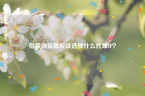 指纹浏览器应该选择什么代理IP？