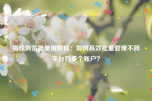 指纹浏览器使用教程：如何高效批量管理不同平台的多个账户？