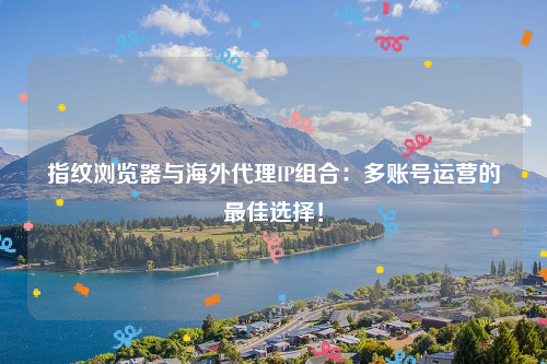 指纹浏览器与海外代理IP组合：多账号运营的最佳选择！