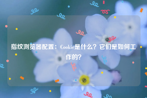 指纹浏览器配置：Cookie是什么？它们是如何工作的？