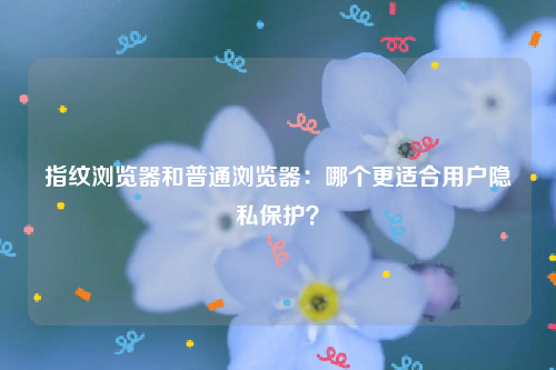 指纹浏览器和普通浏览器：哪个更适合用户隐私保护？