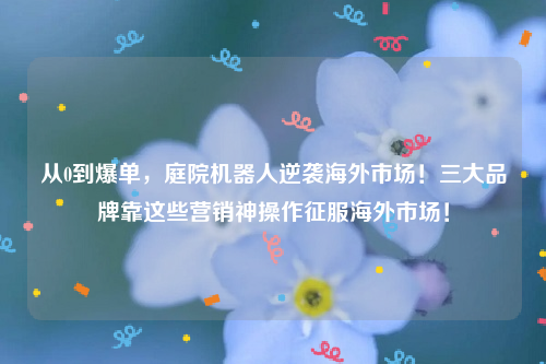 从0到爆单，庭院机器人逆袭海外市场！三大品牌靠这些营销神操作征服海外市场！