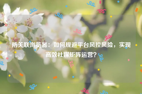 防关联浏览器：如何规避平台风控风险，实现高效社媒矩阵运营？