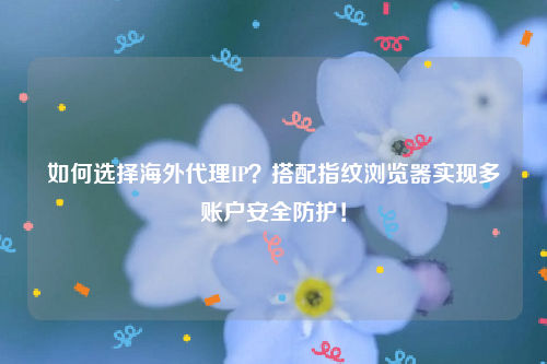 如何选择海外代理IP？搭配指纹浏览器实现多账户安全防护！