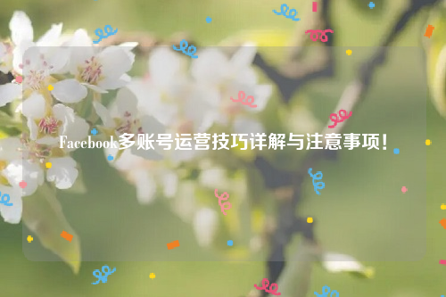 Facebook多账号运营技巧详解与注意事项！
